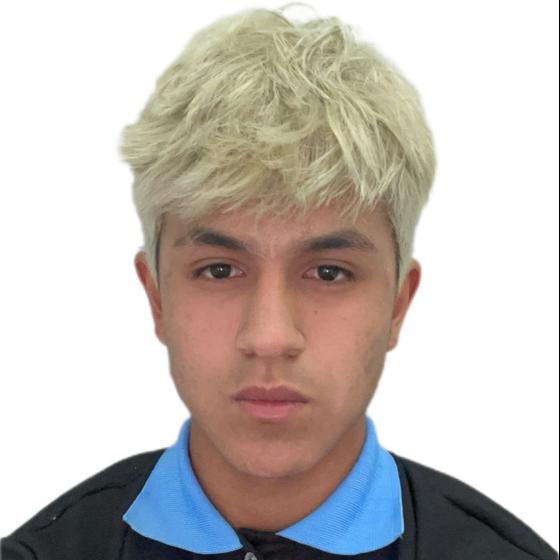 User Image
