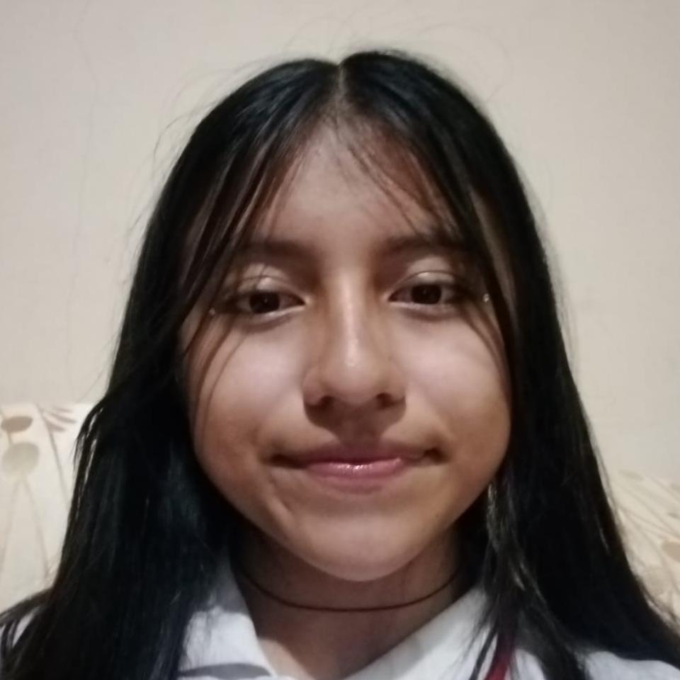 User Image