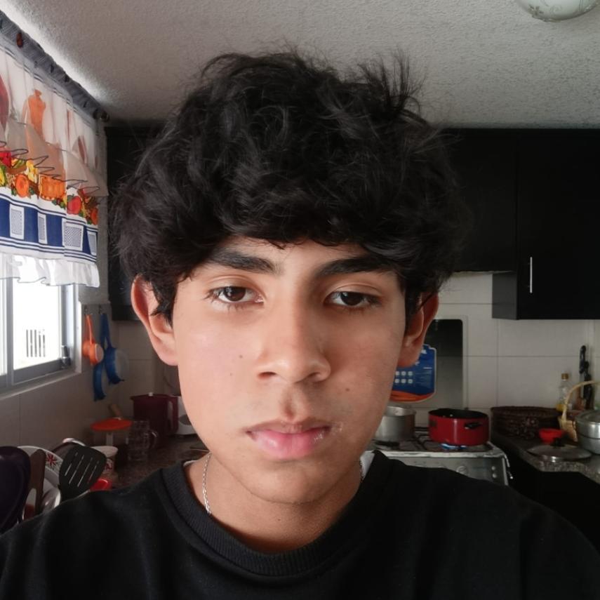 User Image